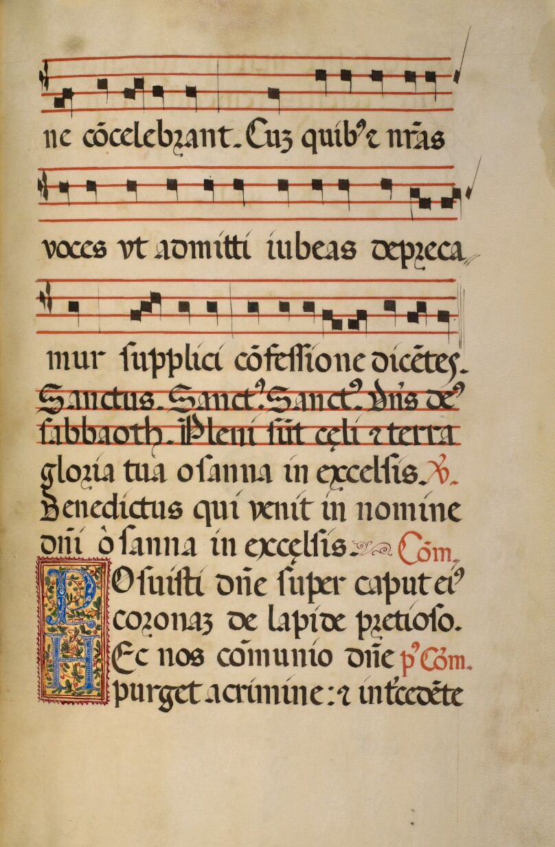 Decorated Initial P; Decorated Initial H
