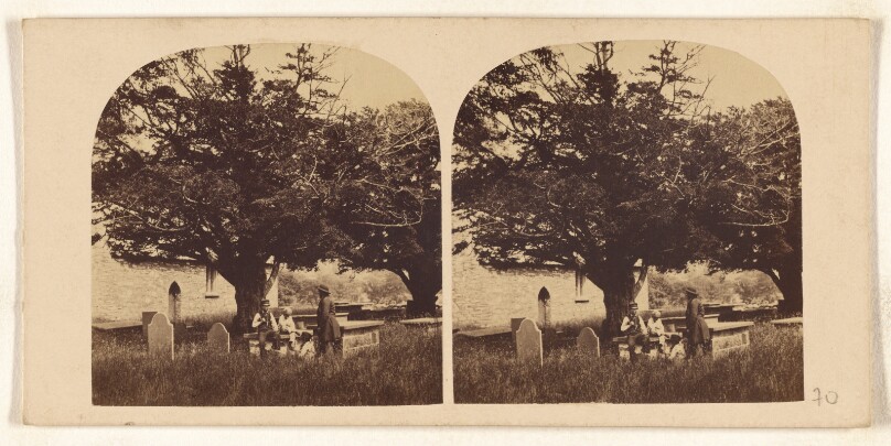 [Cemetery with several people near tomb with large tree]