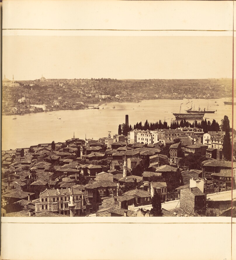 [Plate 11]