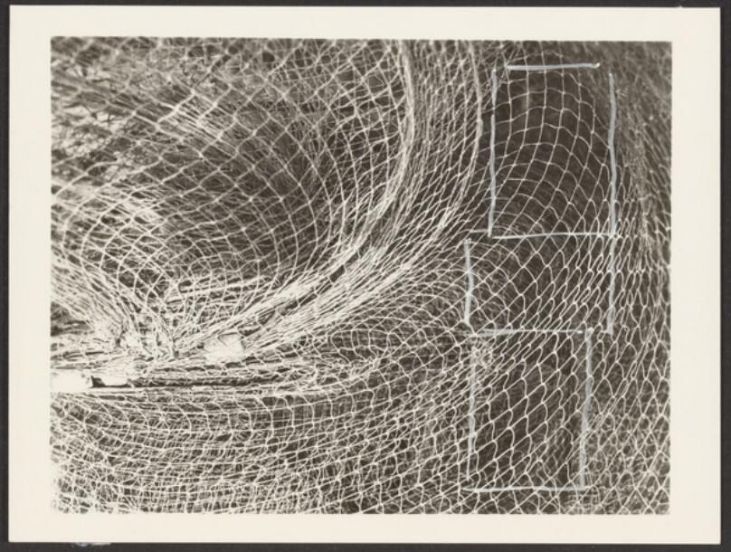 [Pattern Study - Nets]