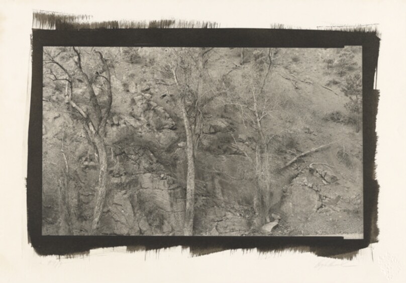 Three Trees, Decker