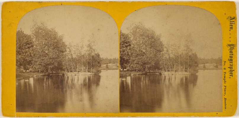 [View of small lake with trees]