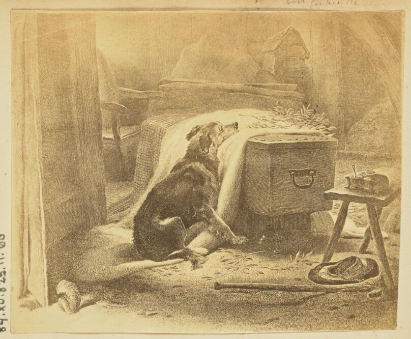 [Dog with coffin]