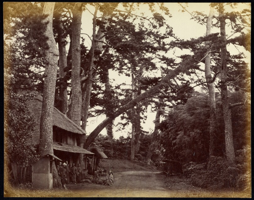 View on the Tokaido Road to Fujiyama