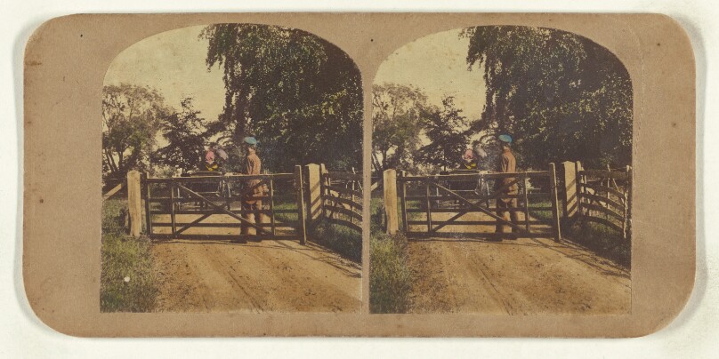 Park Scene.