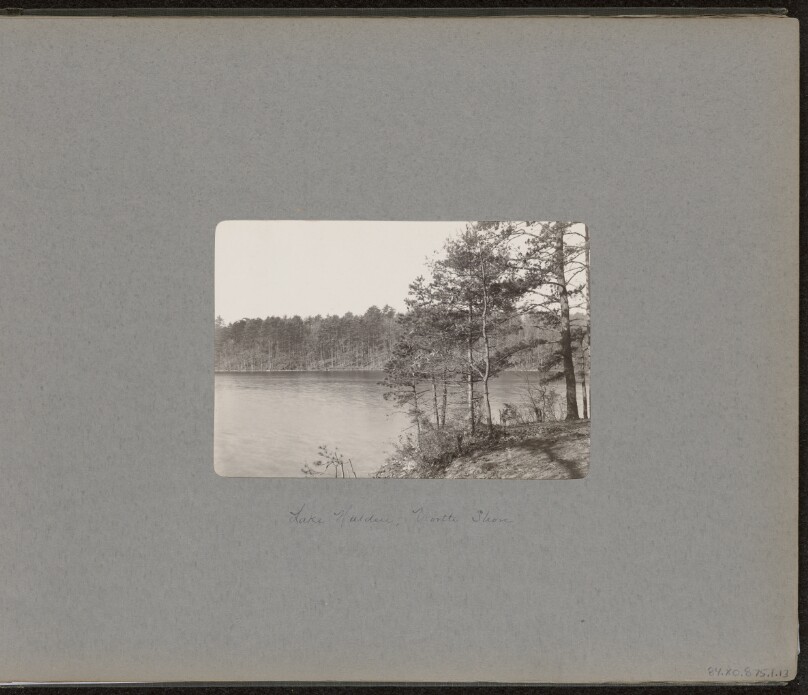 Lake Walden, North Shore