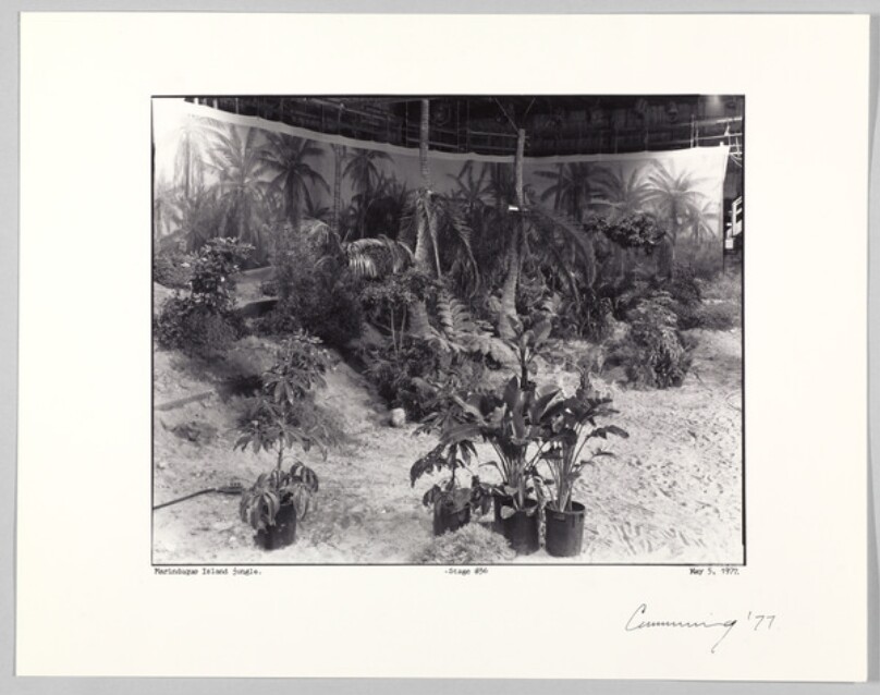 Marinduque Island Jungle, Stage #36