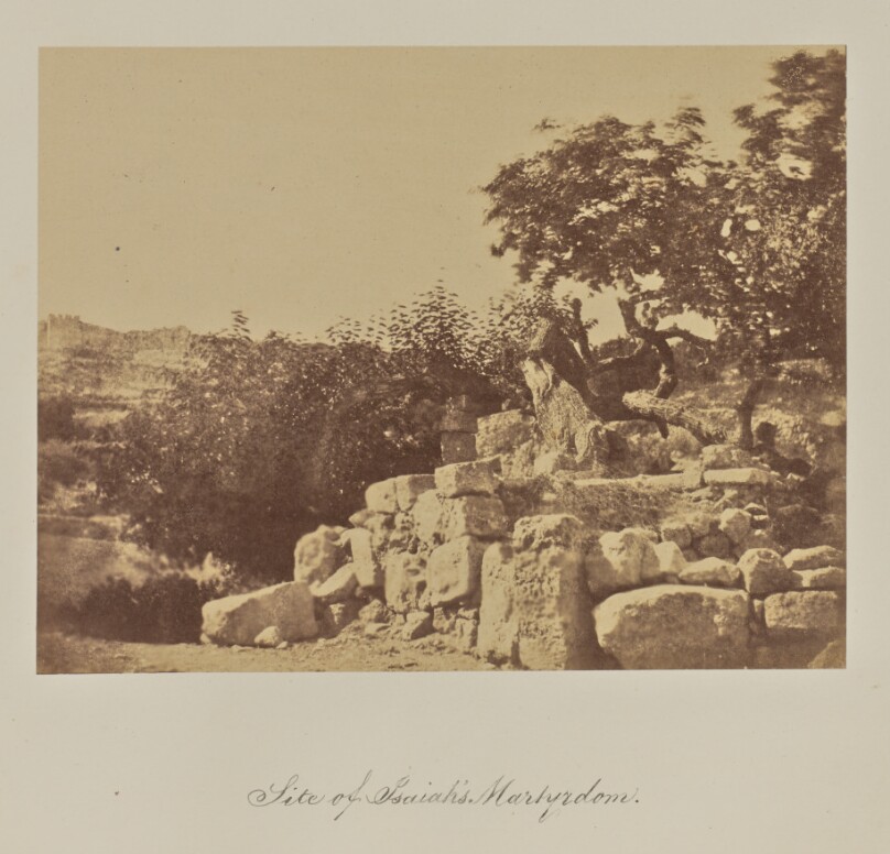 Site of Isaiah's. Martyrdom.