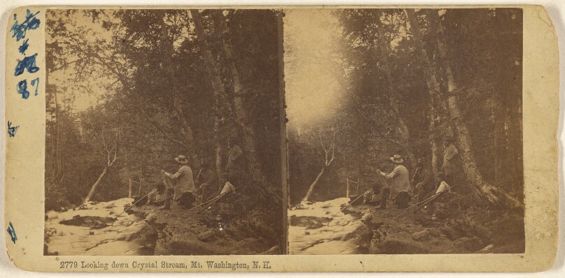 Looking down Crystal Stream, Mt. Washington, N.H.