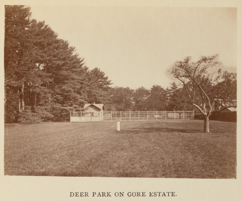 Deer Park on Gore Estate