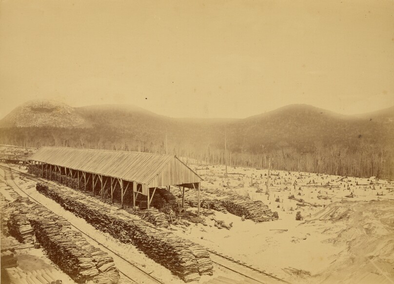 R.E. Peabody & Co., Lumber Manufacturers, Peabody Station, Vermont