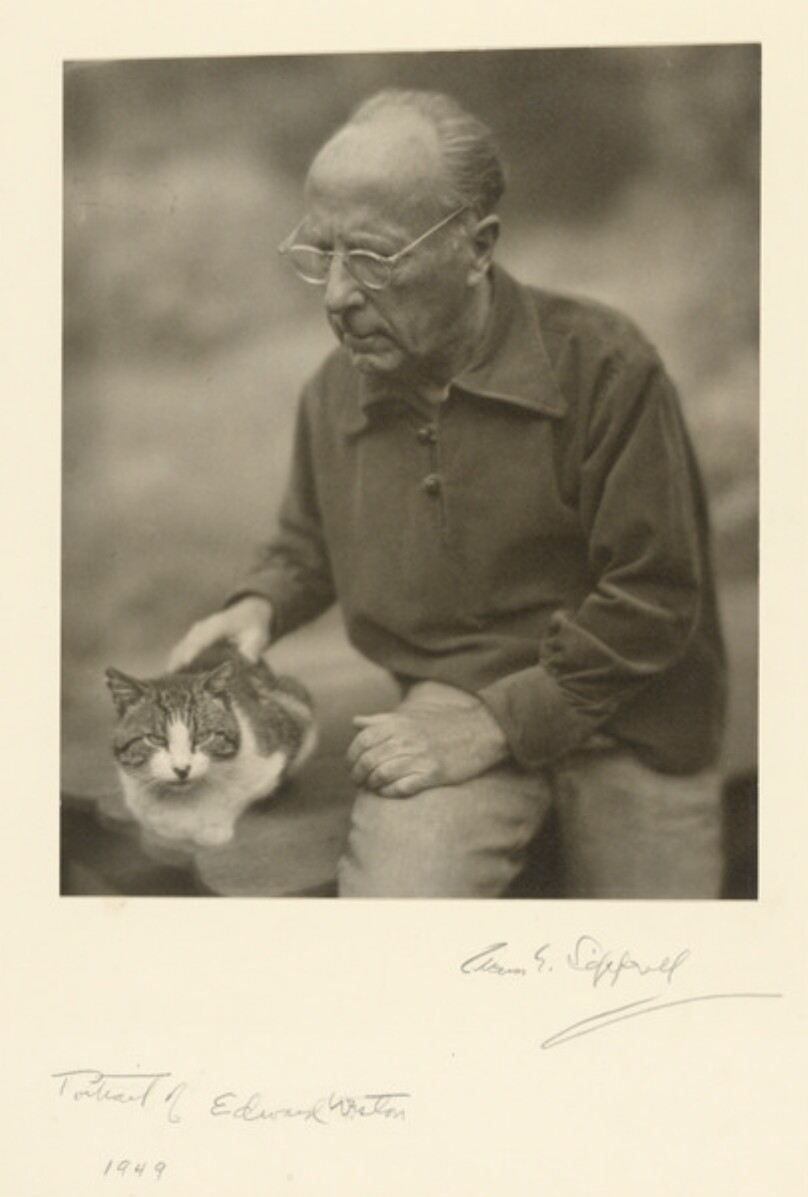 Portrait of Edward Weston