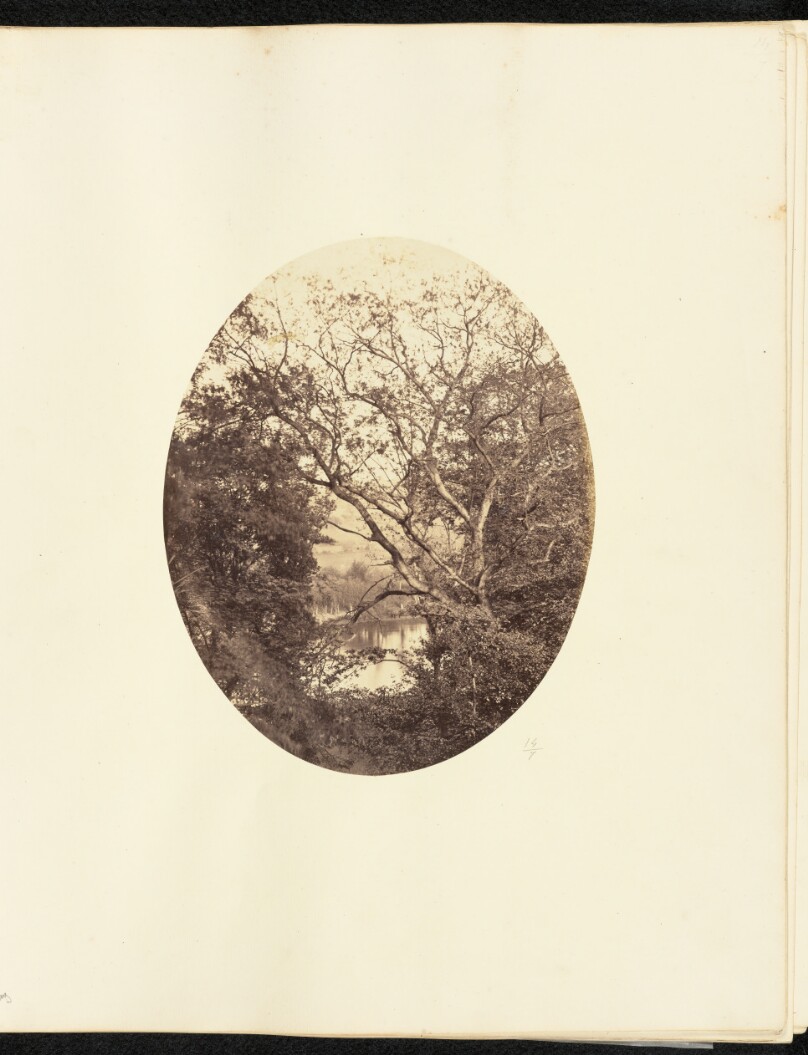[View of River]