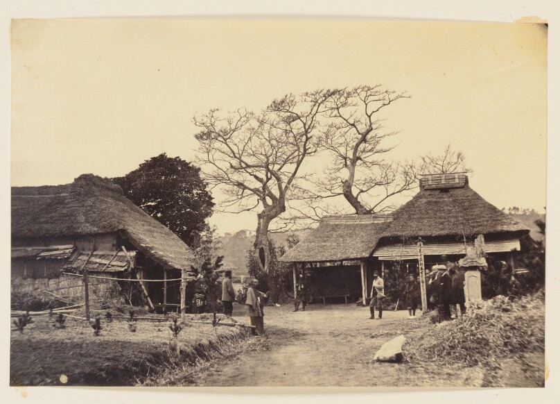 Camp