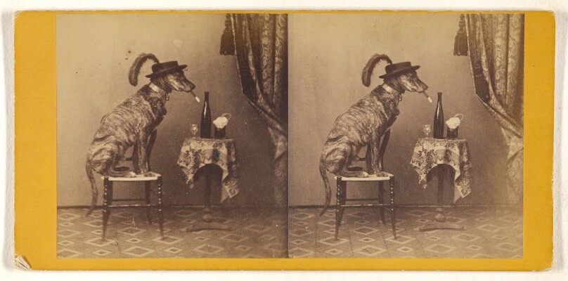 [The jolly dog]/[Dog seated on stool, wearing hat, smoking cigar]