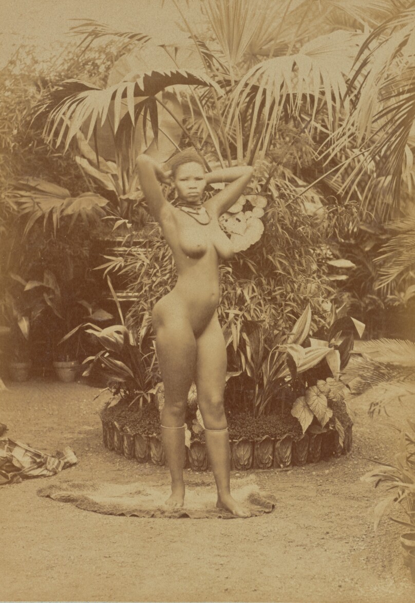 [South African Woman, Nude]