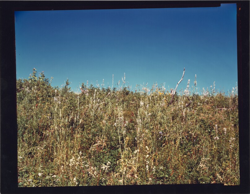 Bozeman, Montana, 1982