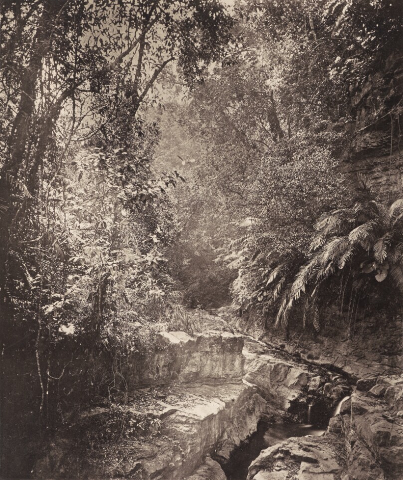 John Thomson