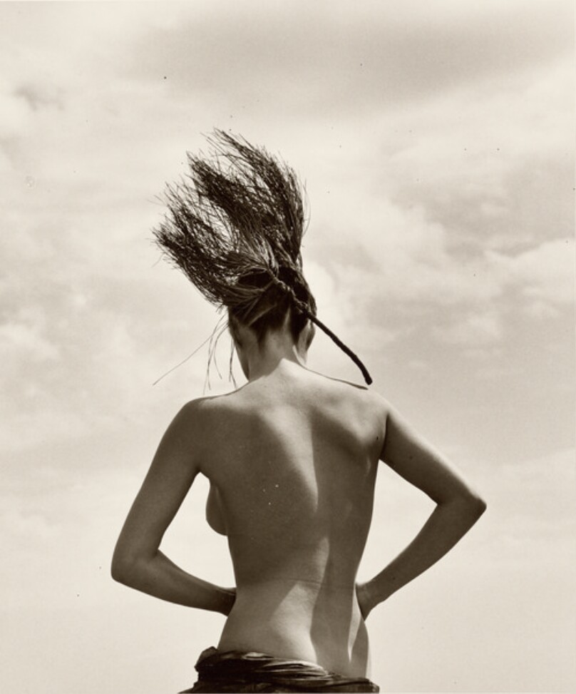 Consuelo, Pine Branch
