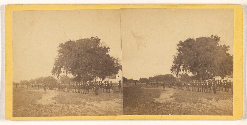 [29th Regt. of black volunteers, Beaufort, South Carolina, standing at attention]