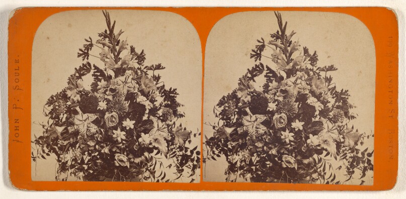 [Flower arrangement]