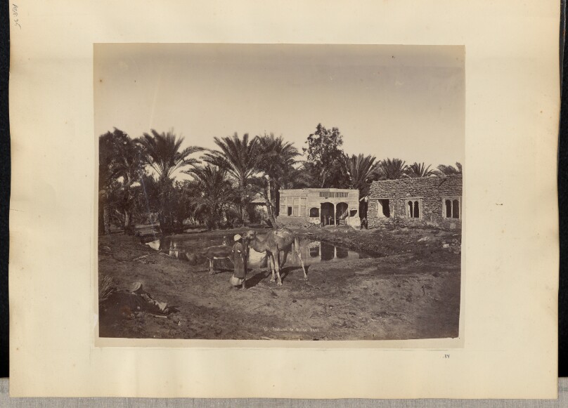 [Fontaine de Moïse, Suez]