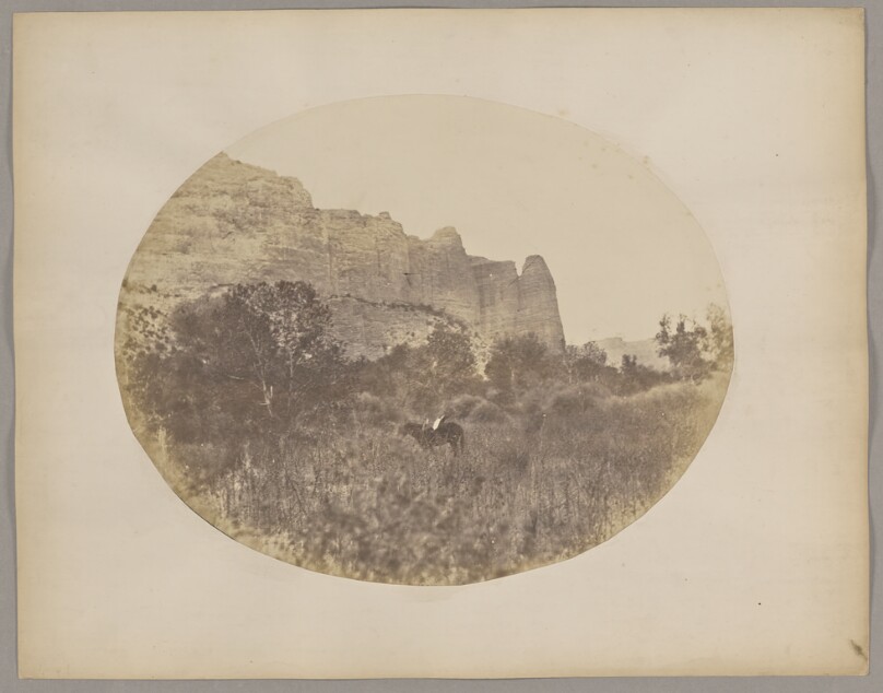 [Horse beside mountains]