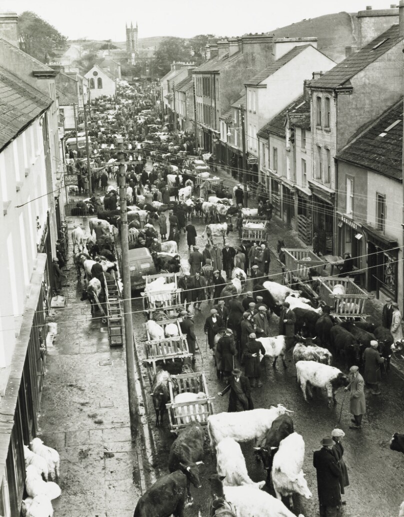 Ennistymon Livestock Market, County Clare, Ireland
