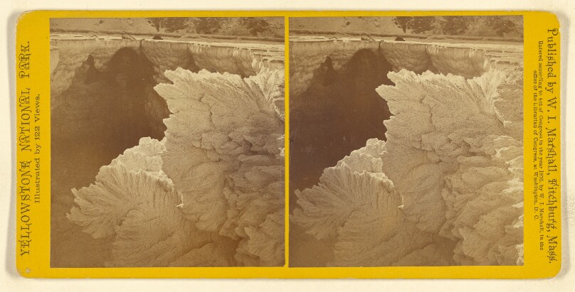 Leaf Form in Limestone. 3d View.
