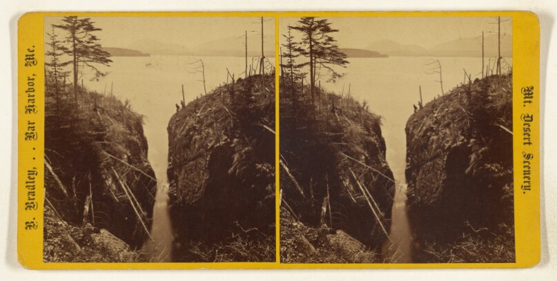 [View on Porcupine Island, Bar Harbor, Mt. Desert, Maine]