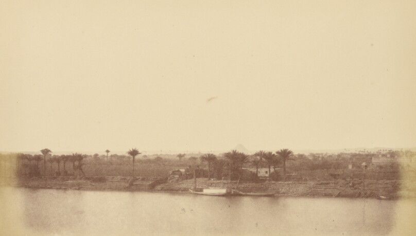 [Banks of the Nile with Palm Trees and Boat]