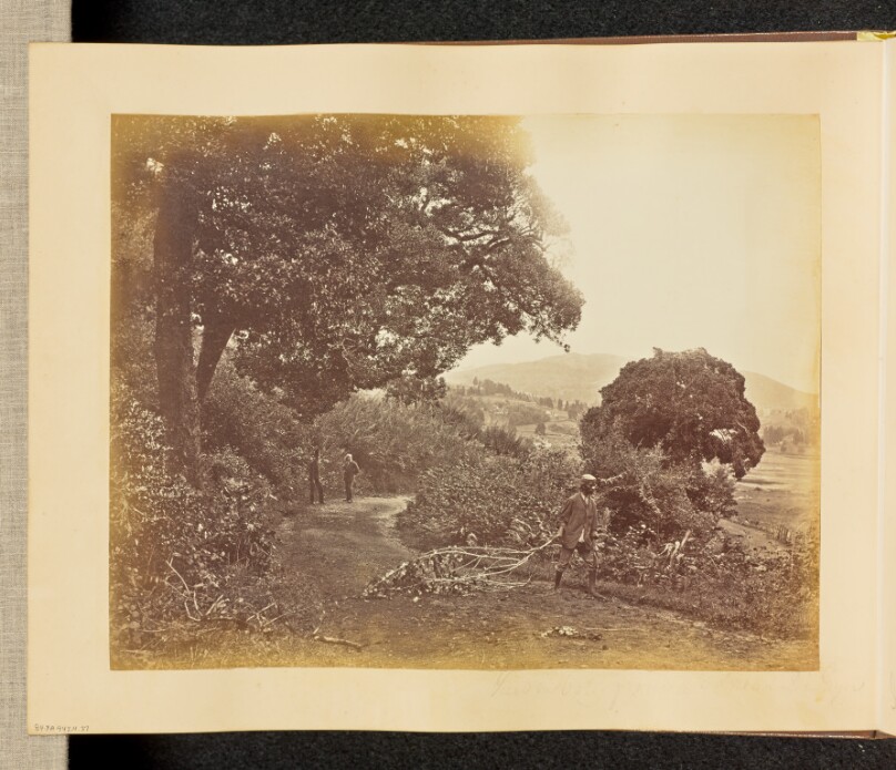View in Ooty from a r.d. [sic] near Dr. Sayers