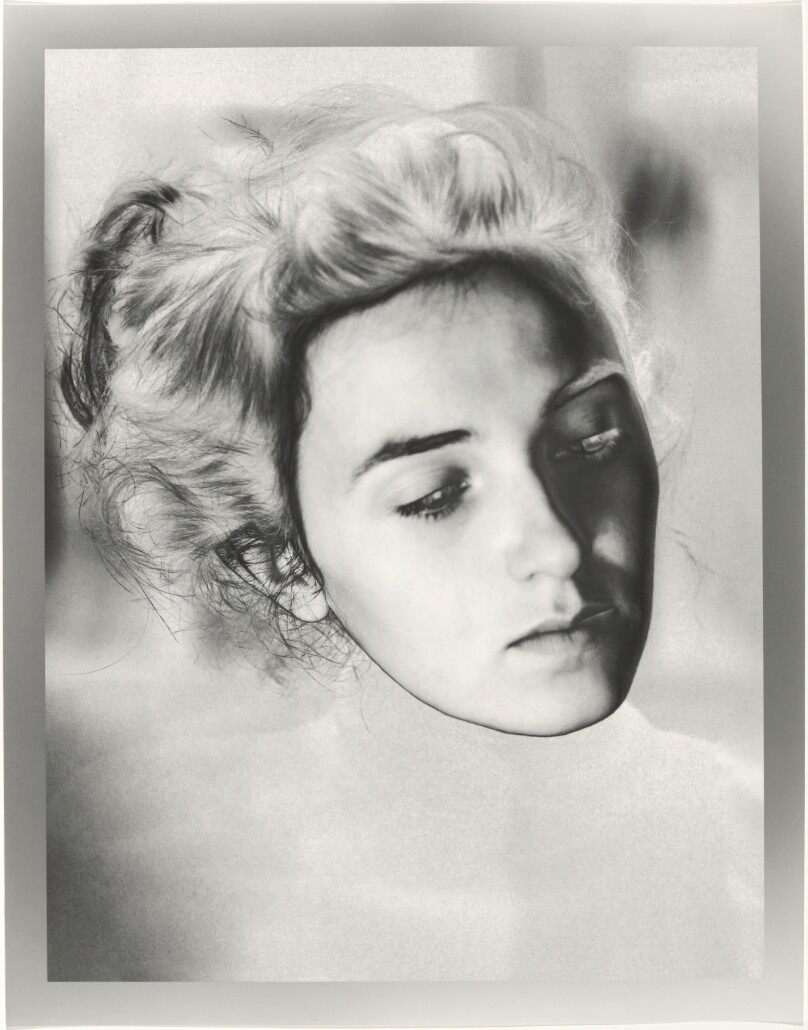 Portrait Revealed