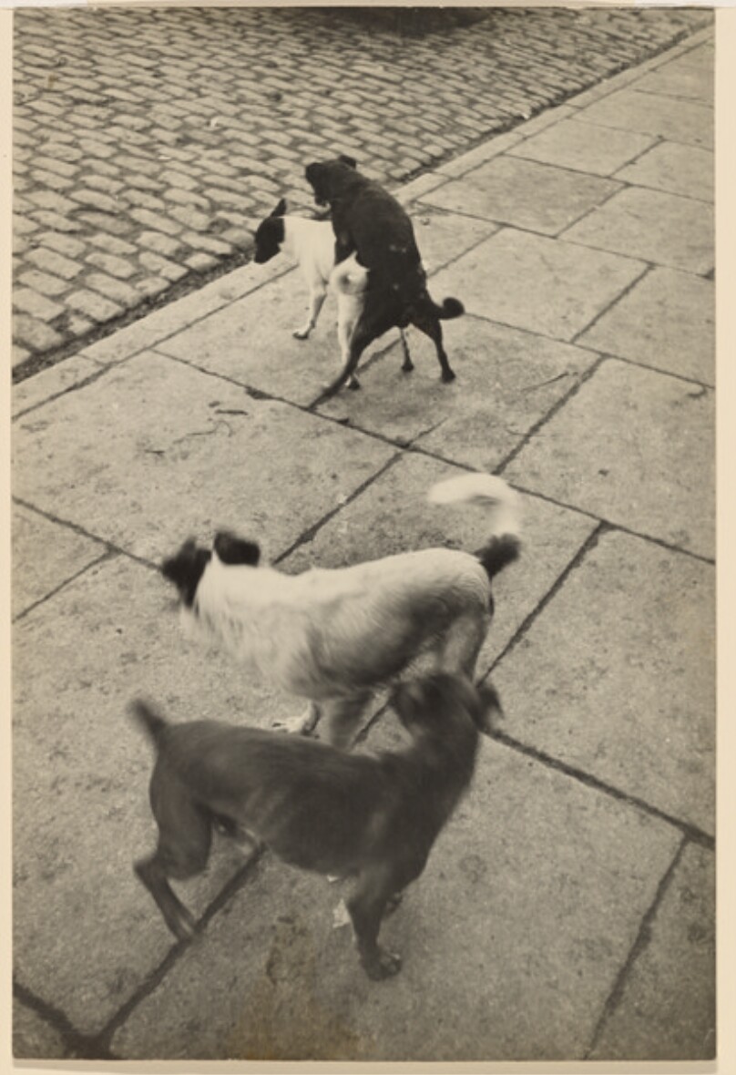 [Paris, 1932]