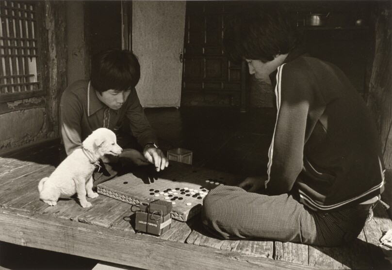 [Two Young Men Playing the Game "Go" with a Small White Dog Looking On]