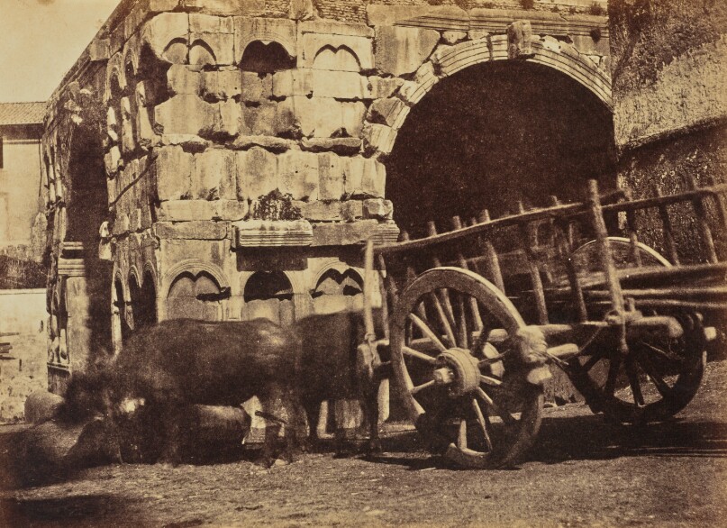 Buffalo Cart, Rome