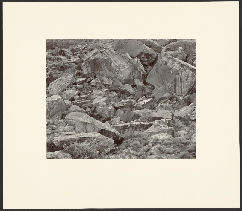 Untitled Landscape