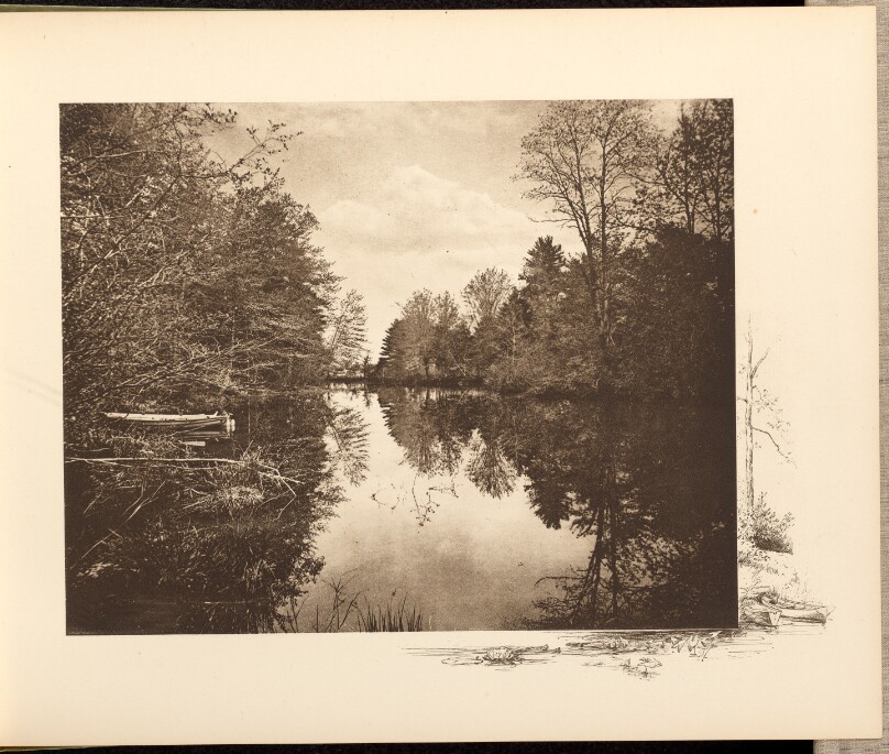 On the Exeter River