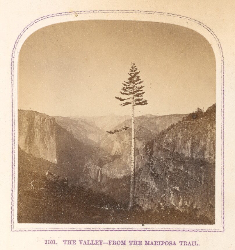 The Valley - From The Mariposa Trail