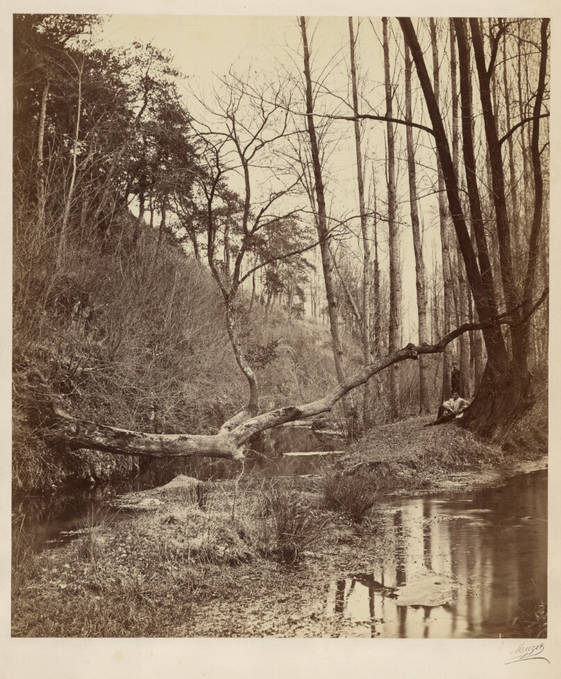 [Two men in a forest]
