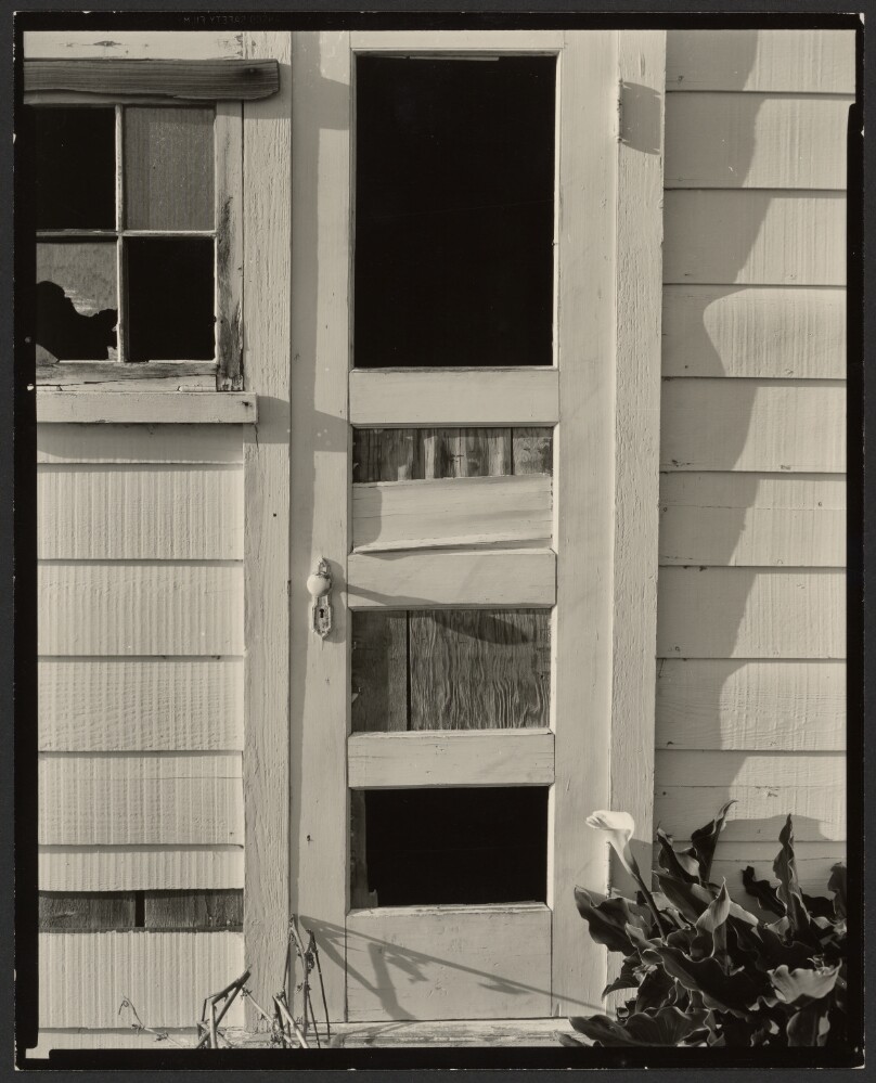 Barn Door