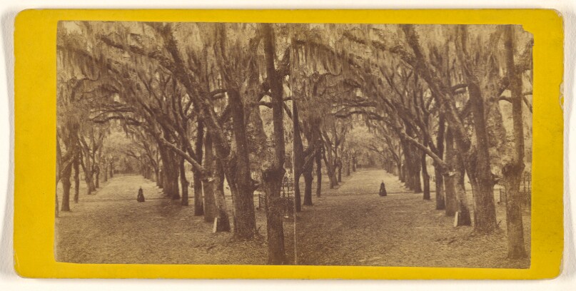 Bonaventure.