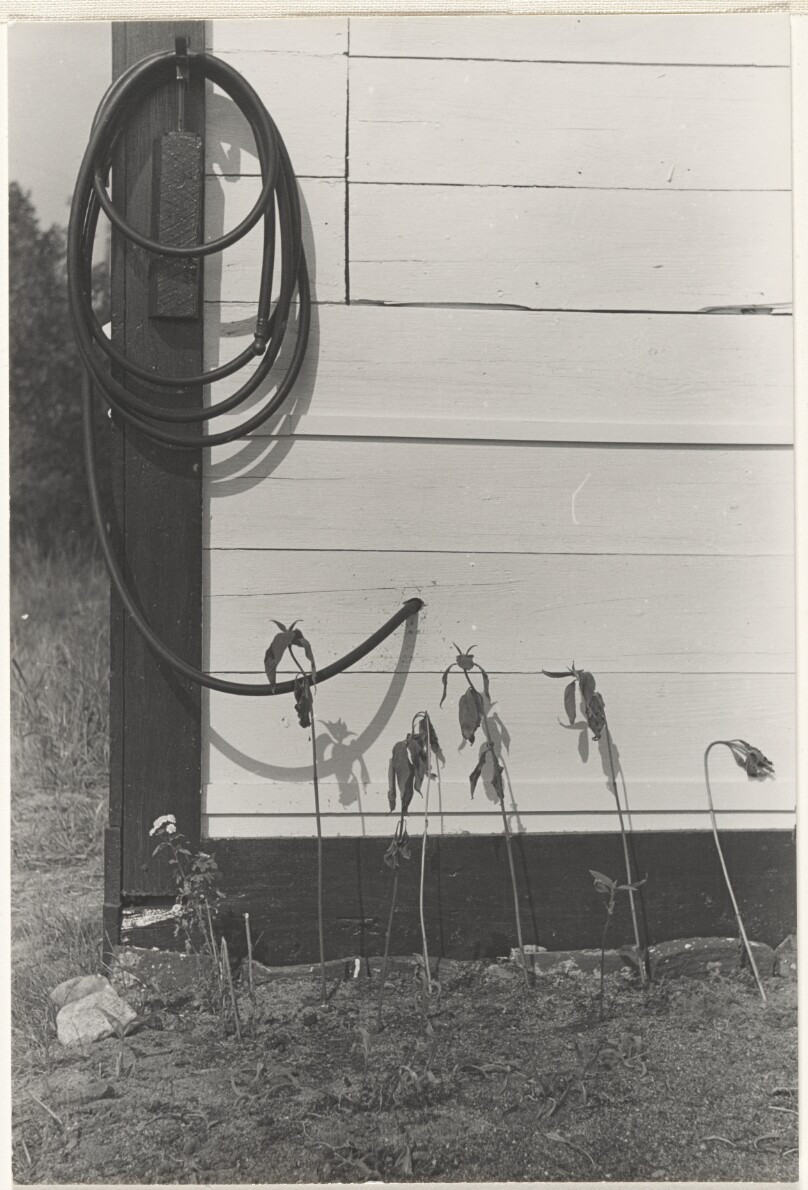 [Garden Hose against a White House]