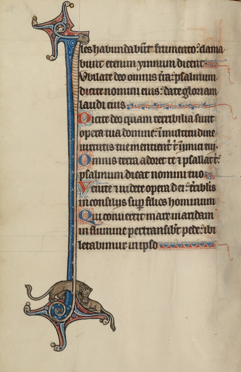 Initial I: The Lion Ressuscitates its Cub