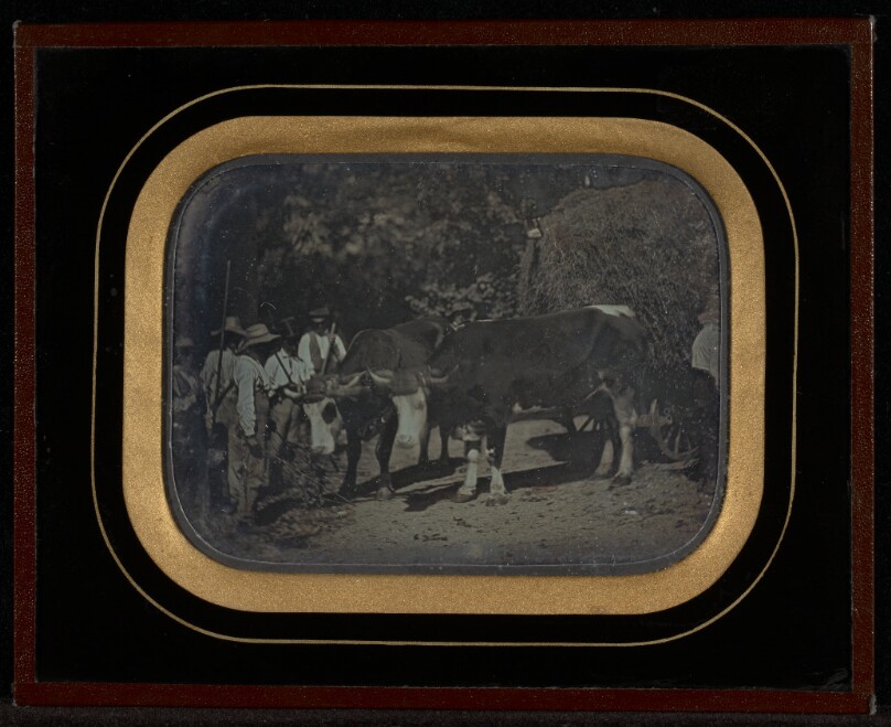 [Peasants with oxen and wagon]