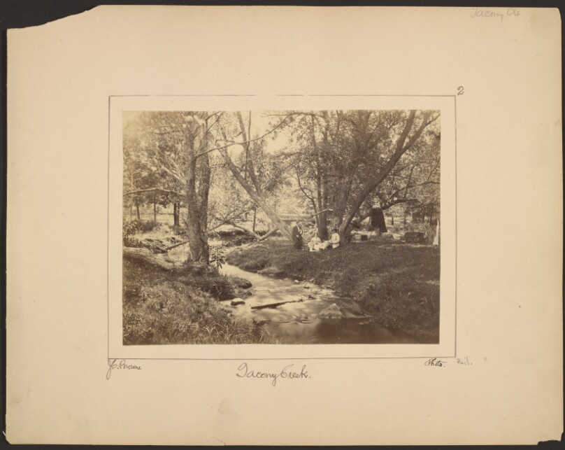 Tacony Creek