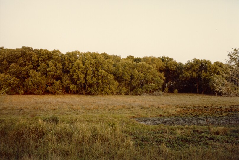 [Landscape]