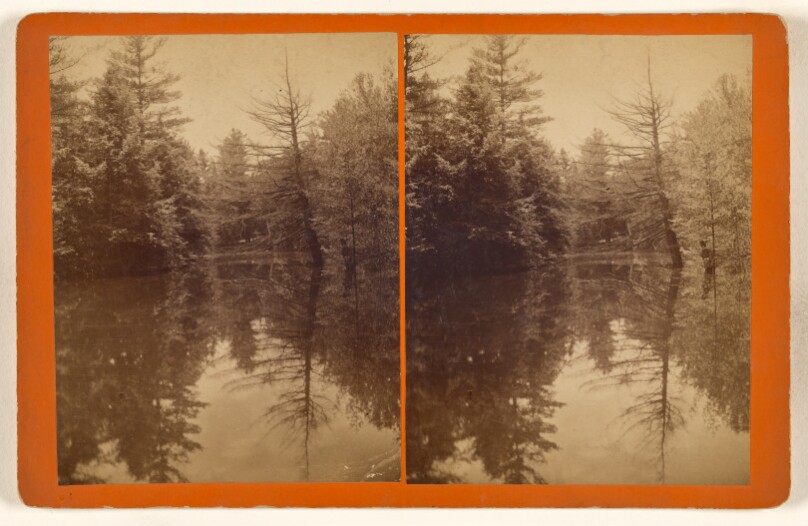 [Reflection on the Sawkill above the Dam in the Glen, Pike County, Pa.]