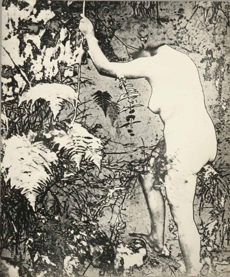 Untitled