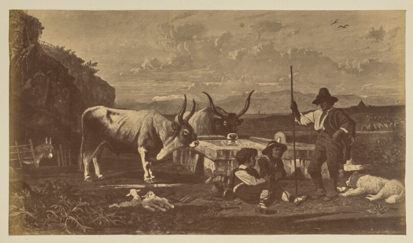 [Gathering at a water trough]